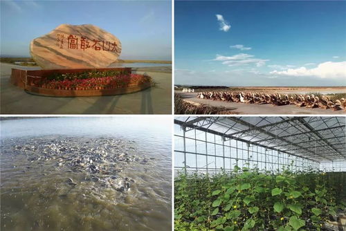 过节出游必看,九原区这4项冬季旅游节庆活动 3条冬季旅游精品线让你嗨翻天