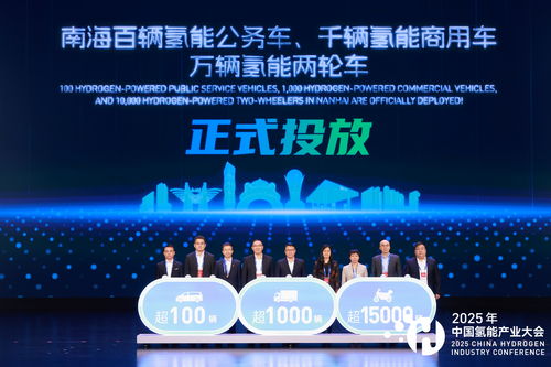 2025年中国氢能产业大会聚焦高质量发展路径与技术交流
